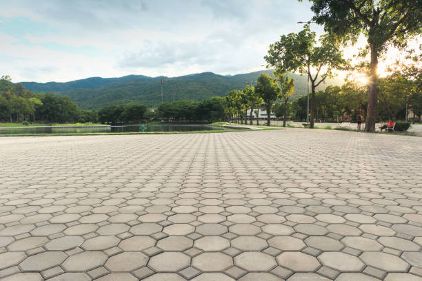 Best Driveway Repair Near Me  in Waskom, TX