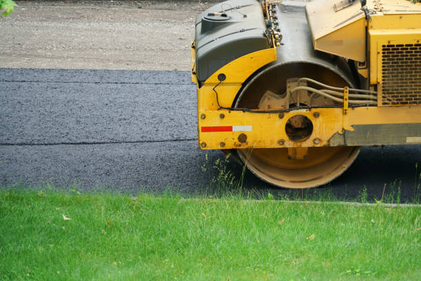 Best Professional Driveway Pavers  in Waskom, TX